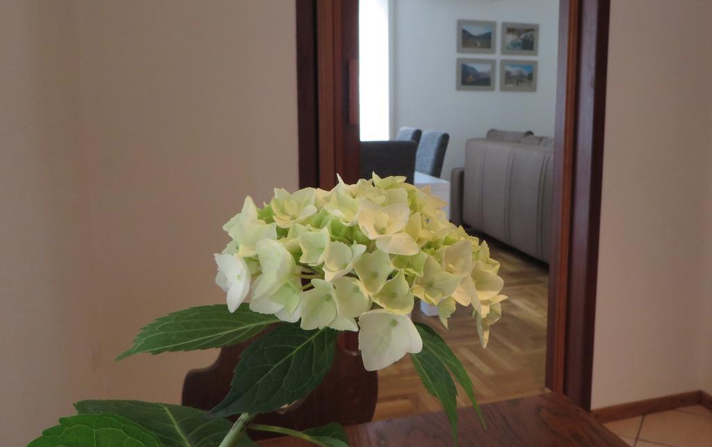 Hisa Lescer Apartment โคบาริด ภายนอก รูปภาพ